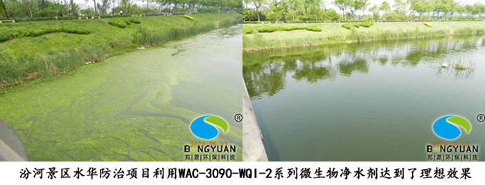 邦源环保降氨氮产品WAC-3090-WQI-2系列微生物净水剂应用于项目效果图