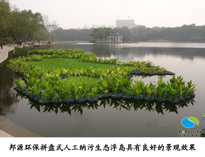 邦源环保拼盘式人工纳污生态浮岛在项目中的应用效果图