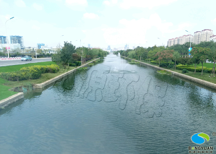 蓝藻治理后，水体透明度提升，景观效果良好
